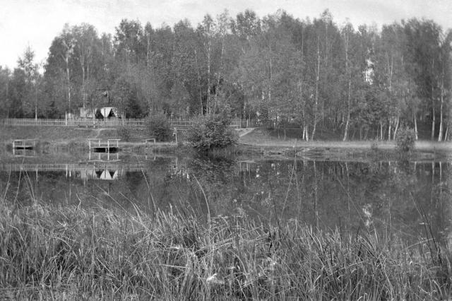 ок.1915 - Река Клязьма и "Старая роща во пнях"