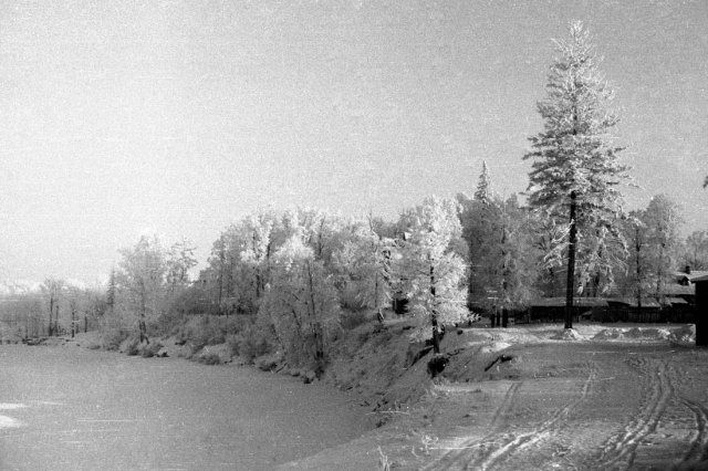 ок.1966 - Берег Клязьминского водохранилища в Мысово