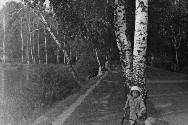 ок.1940 - Дорога в поселок ДАОС проходит между прудами