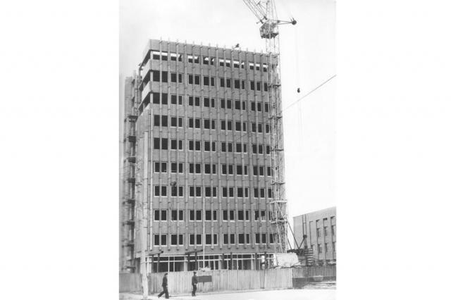 1981 - �������� ������ ���������� ���������� ����