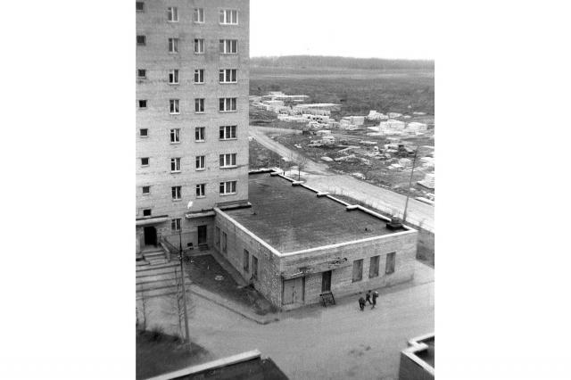 1991 -     29   