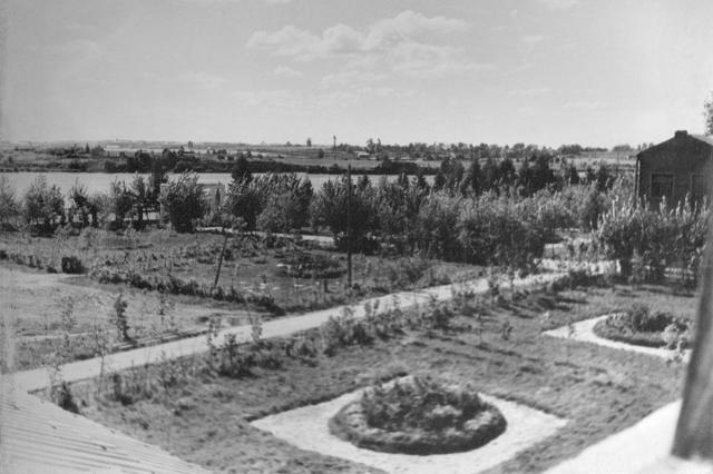 1959 - Парк госпиталя на берегу канала