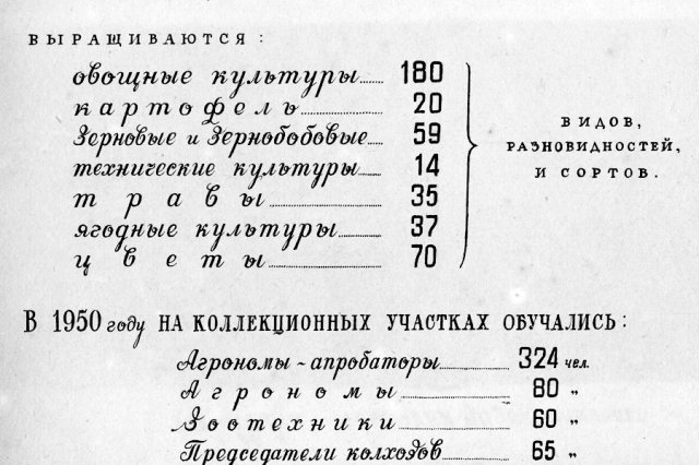 1950 - Страница альбома "Московский Дом Агронома"