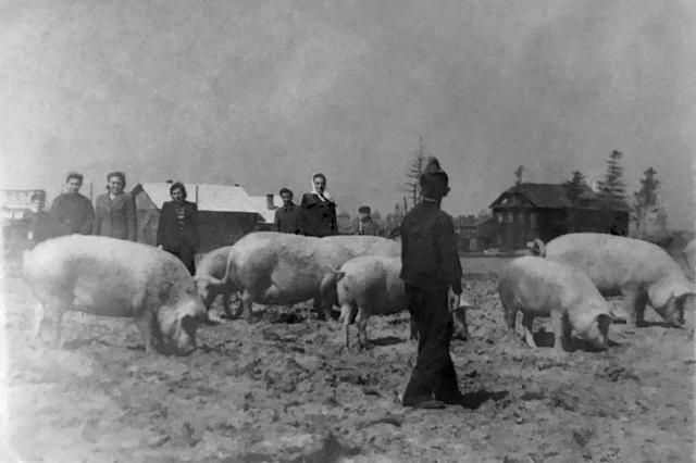 05.1949 - ��������, "��� ��������"