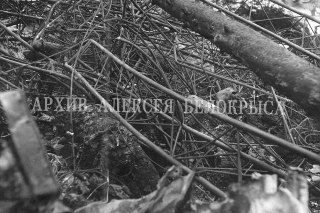 07.02.1938 - ���� � ����� ���������� ��������� ����-�6 �� ���� �����