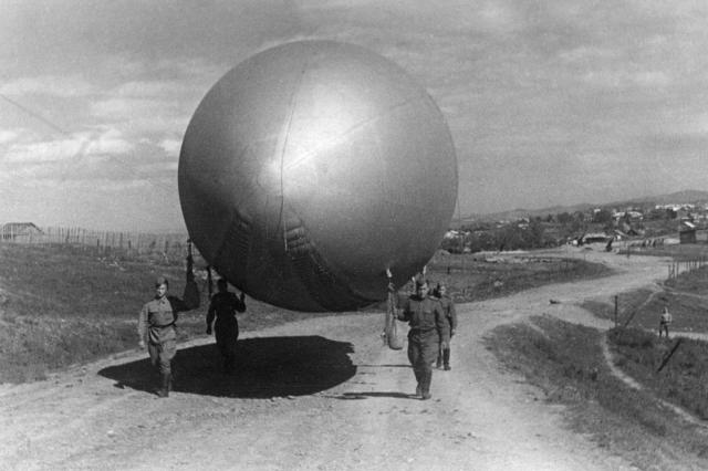 10.1943 -    